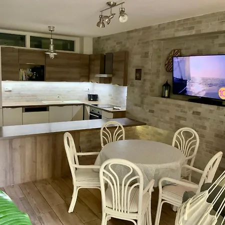 S Garáží A Balkónem Appartamento