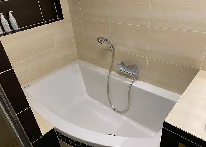 S Garazi A Balkonem Appartement Plzeň